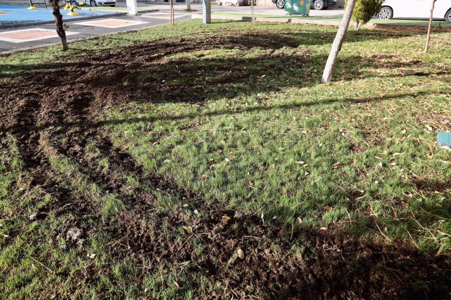 PARK İÇERİSİNDE DRİFT YAPILMASI TEPKİYLE KARŞILANDI 