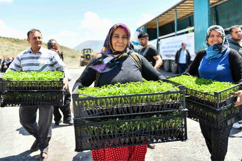Depremzede çiftçilere 2 milyon fide hibe