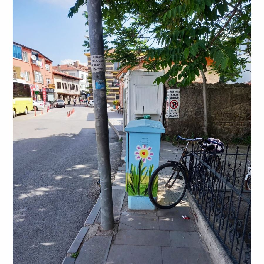 Elektrik Panolarının Görünümü Güzel Ama ,Ya Yeri...