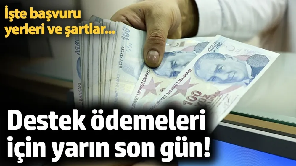 Büyükbaş ve küçükbaş hayvan üreticileri! 