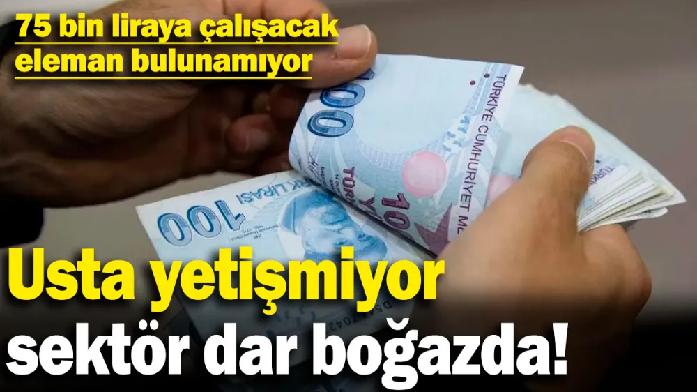 Usta yetişmiyor sektör dar boğazda! 