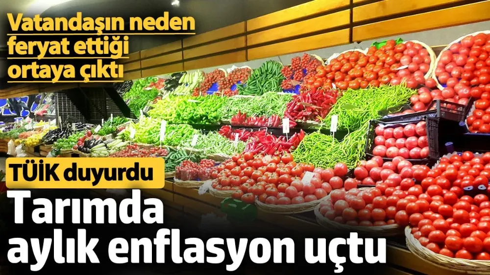 Tarımda aylık enflasyon uçtu