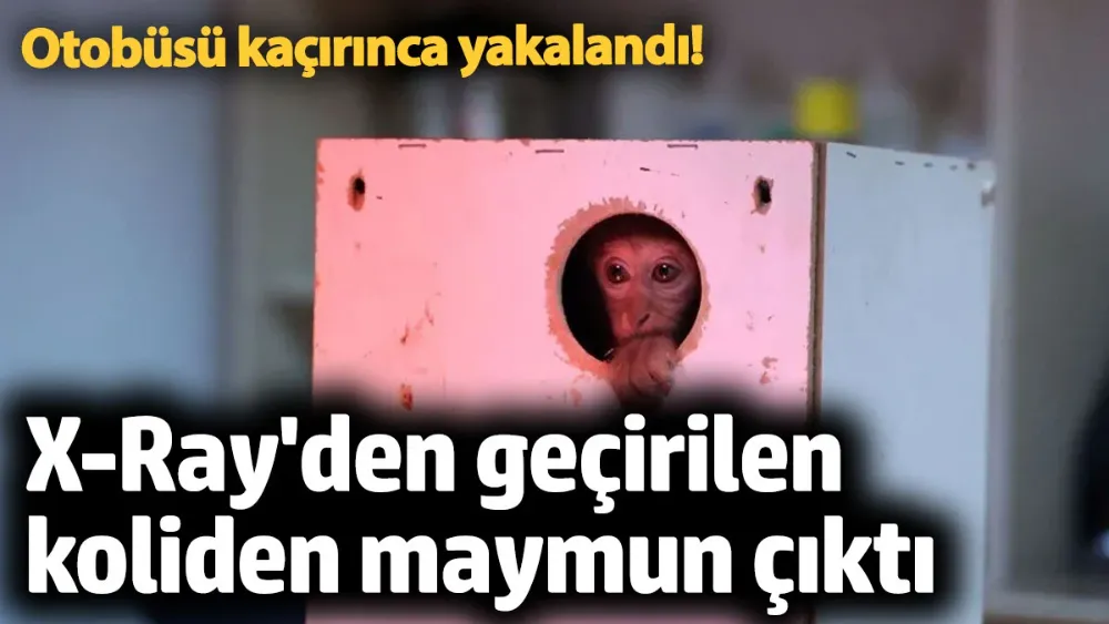 X-Ray