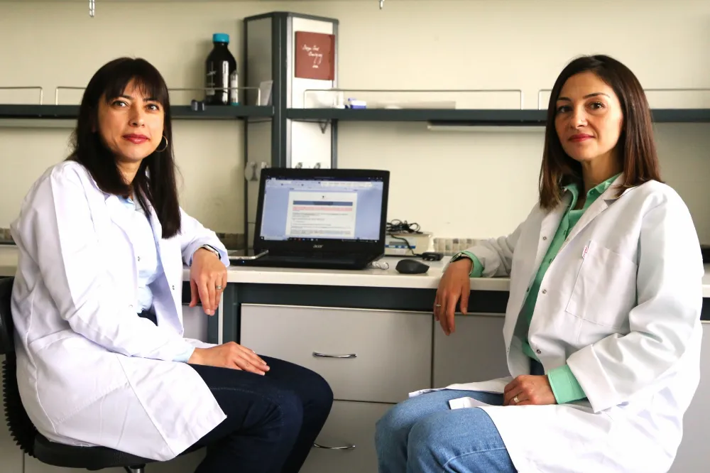  Çiriş bitkisinin kanser ve diyabet hastalıkları üzerine etkisi araştırılıyor