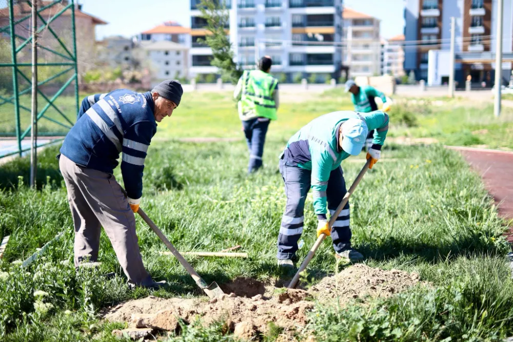 Baharla birlikte ağaç dikme seferberliği başladı