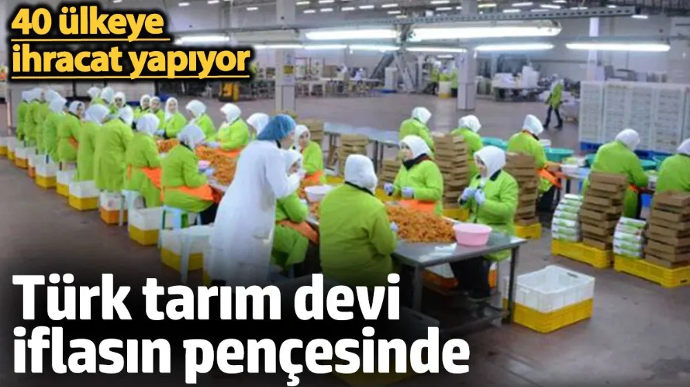Türk tarım devi iflasın pençesinde. 