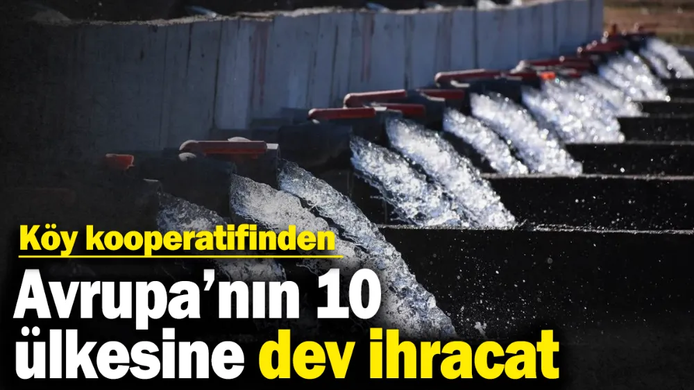 Köy kooperatifinden Avrupa’nın 10 ülkesine dev ihracat!