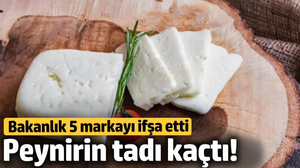 Peynirin tadı kaçtı! 