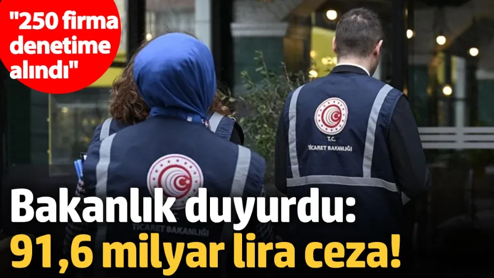  2024 yılı için 91,6 milyar TL ceza kesildi