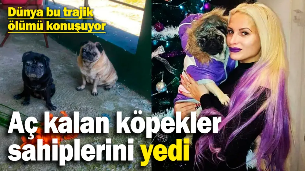 Aç kalan köpekler, sahiplerini yedi