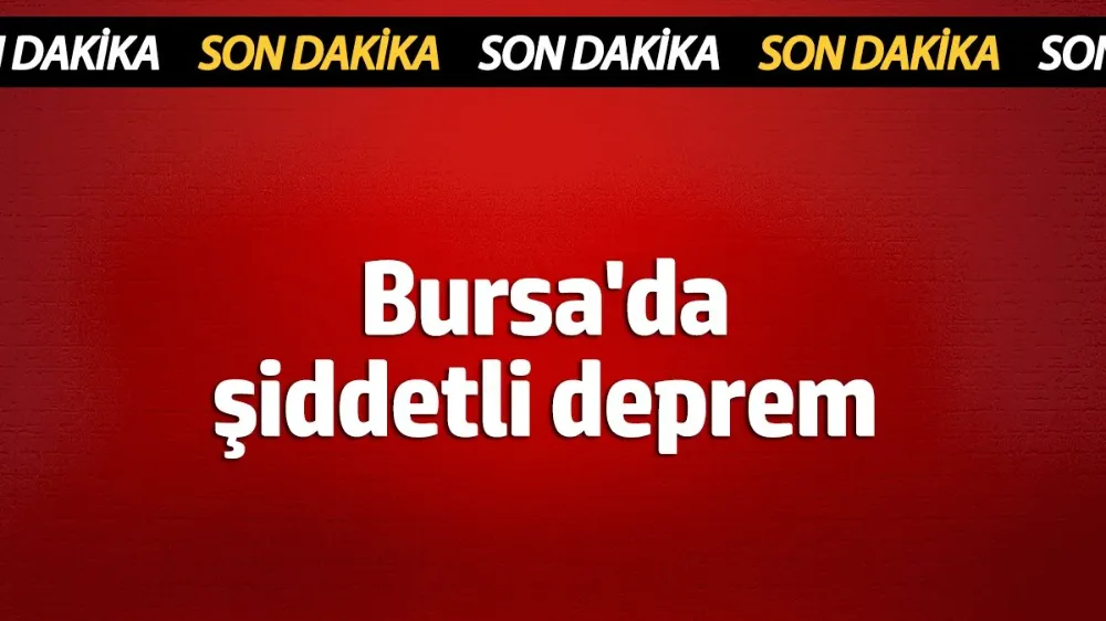 Bursa