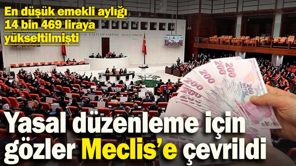 Yasal düzenleme için gözler Meclis