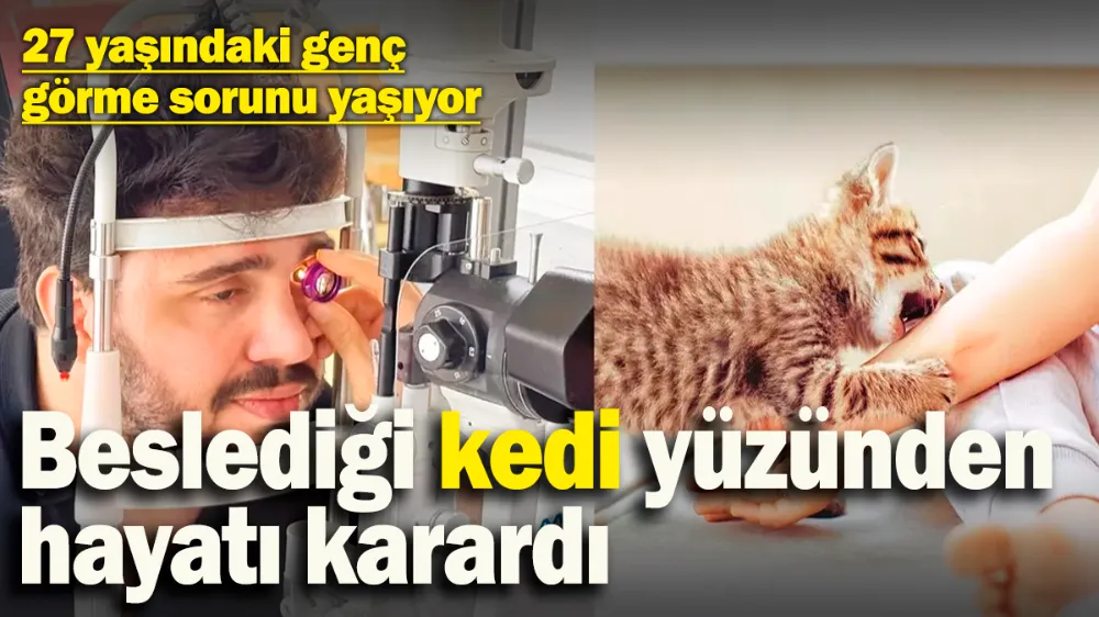 Beslediği kedi yüzünden hayatı karardı! 