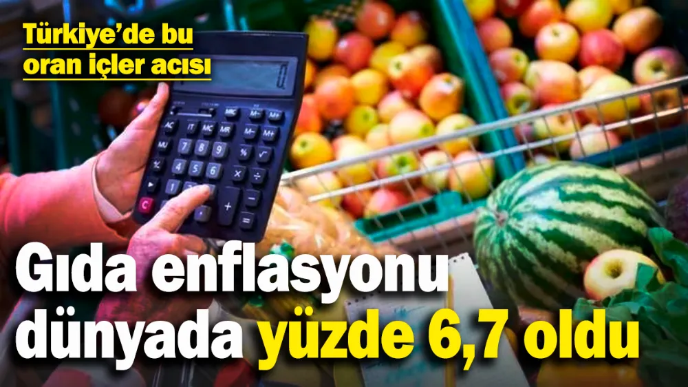 Gıda enflasyonu dünyada yüzde 6,7