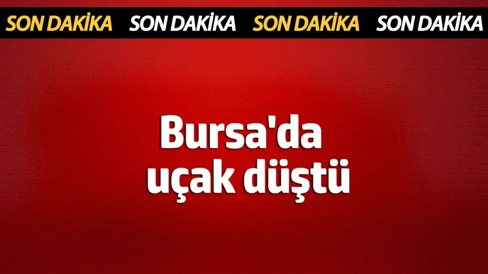 Bursa
