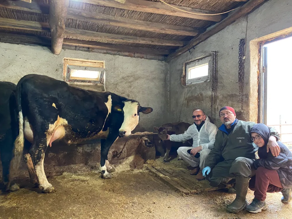 Süt Alerjisine Genetik Çözüm: Aksaray Üniversitesi’nden Dünya Çapında Bilimsel Devrim