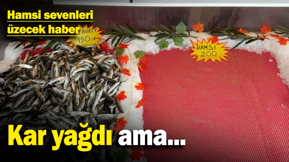 Hamsi sevenleri üzecek haber! 