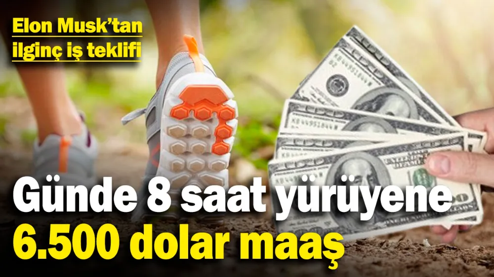Günde 8 saat yürüyene 6.500 dolar maaş!