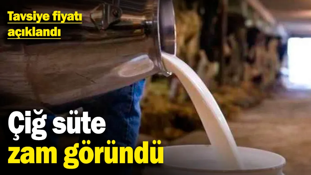 Çiğ süte zam göründü! 
