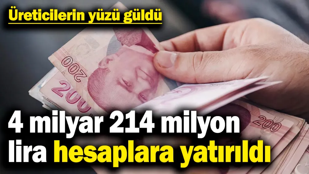 Üreticilerin yüzü güldü
