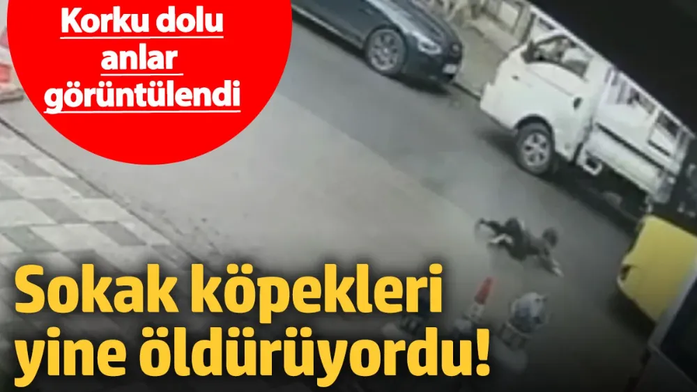 Sokak köpeklerinden kaçan çocuğa otobüs çarptı