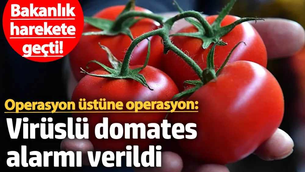 Operasyon üstüne operasyon: Virüslü domates alarmı verildi