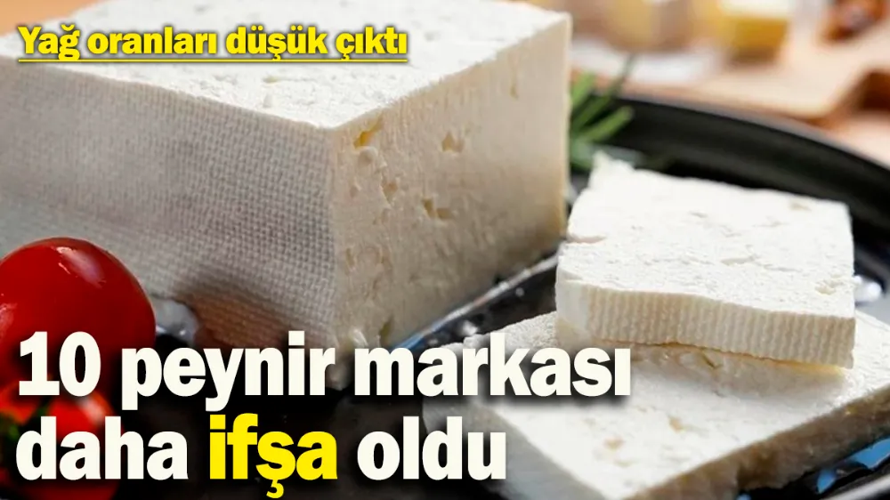 10 peynir markası daha ifşa oldu! 