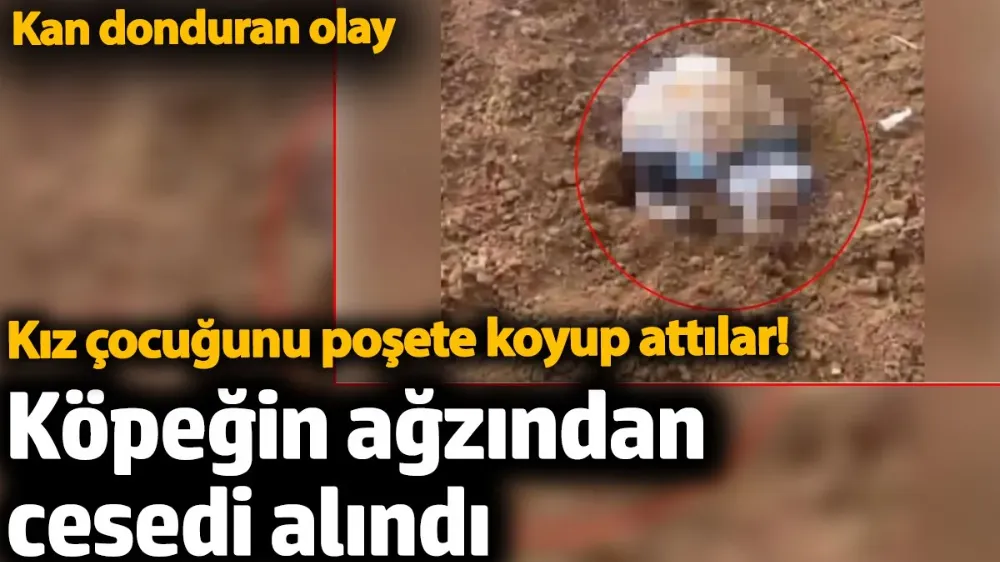 Kız çocuğunu poşete koyup attılar! 