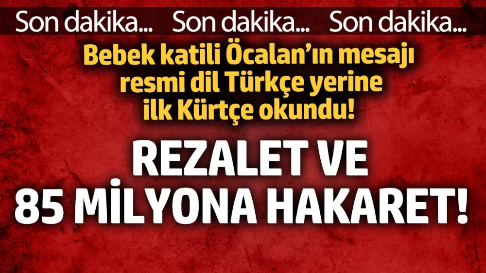 Resmi dil Türkçe