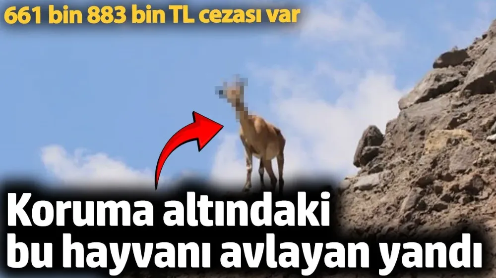 661 bin 883 bin TL cezası var