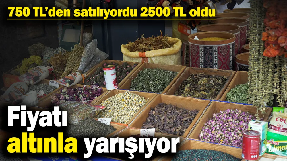 Fiyatı altınla yarışıyor! 