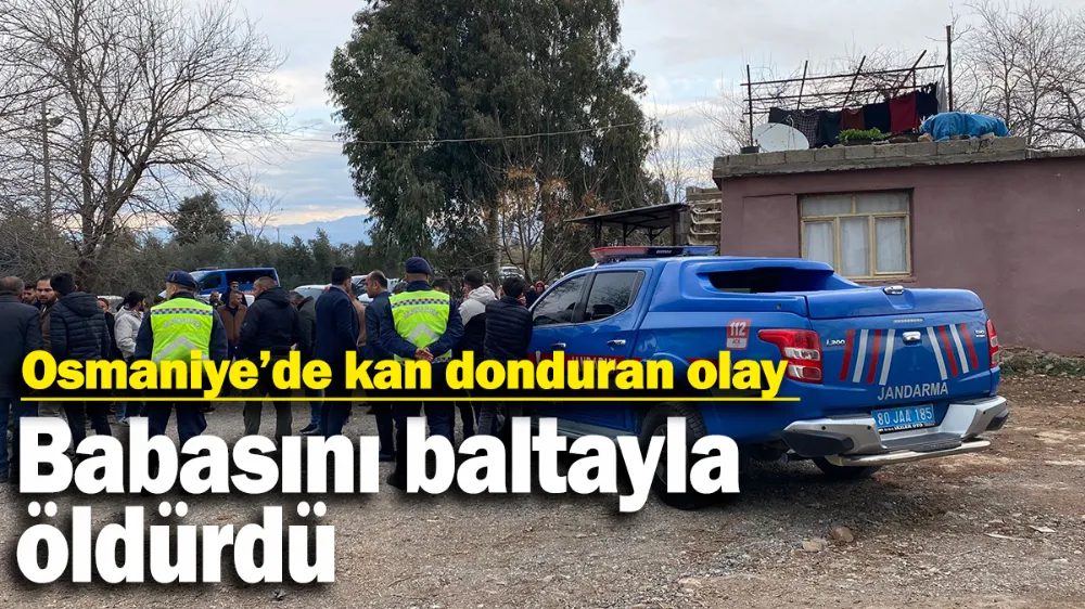Babasını baltayla öldürdü