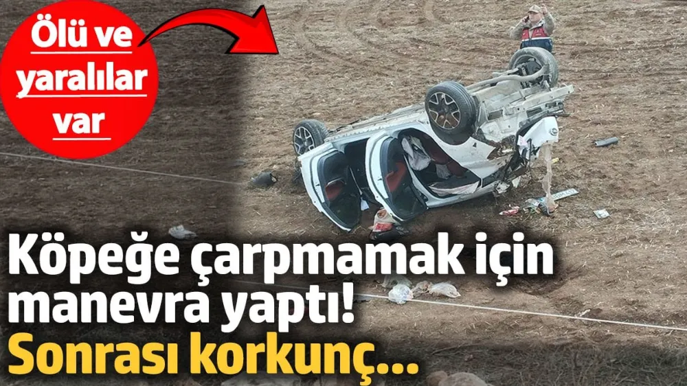 Siirt