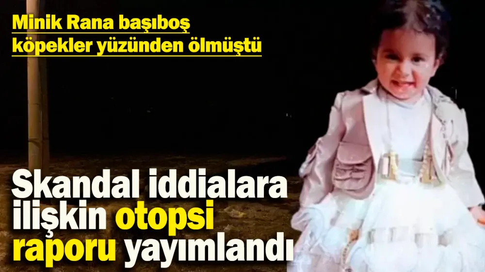 Minik Rana başıboş köpekler yüzünden ölmüştü! 