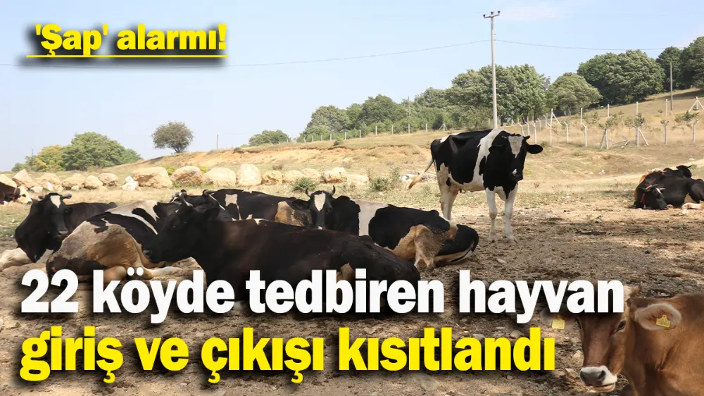 Şap hastalığı yayılmasın diye önlem alındı