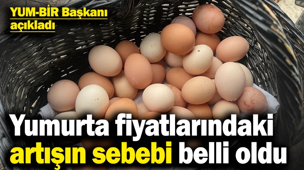 Yumurta fiyatlarındaki artışın sebebi belli oldu