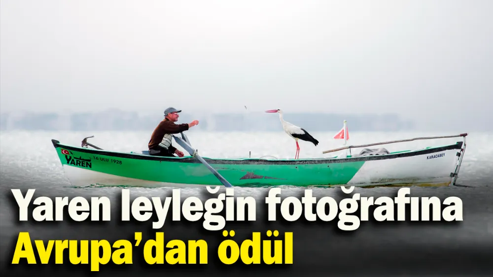 Yaren leyleğin fotoğrafına Avrupa’dan ödül