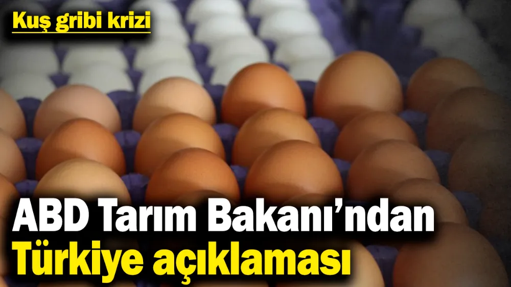 Kuş gribi krizi! 