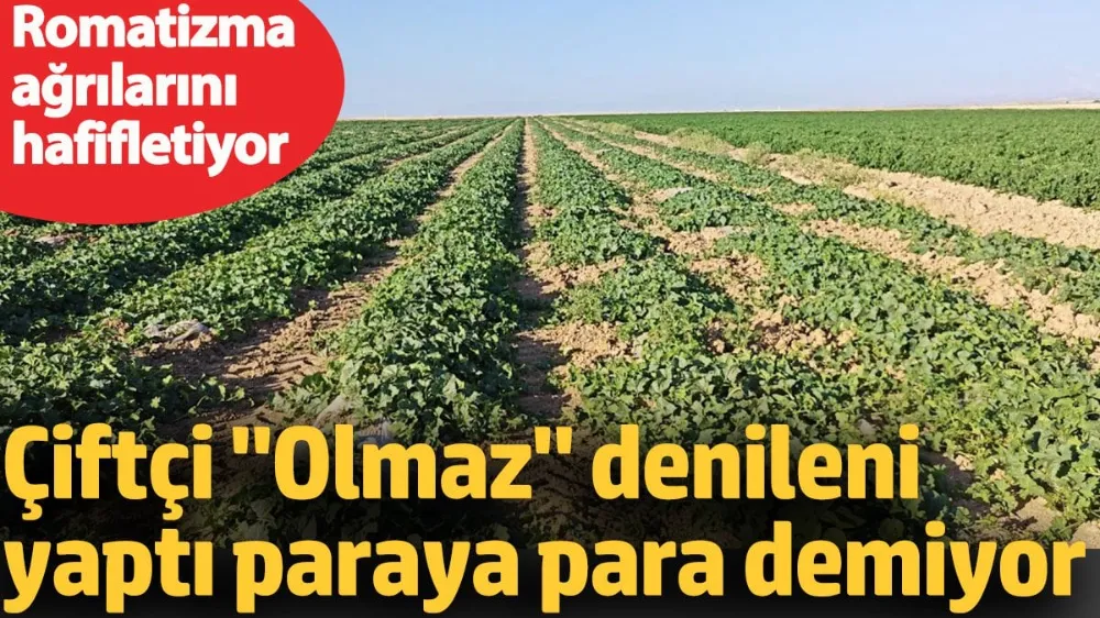 Çiftçi 