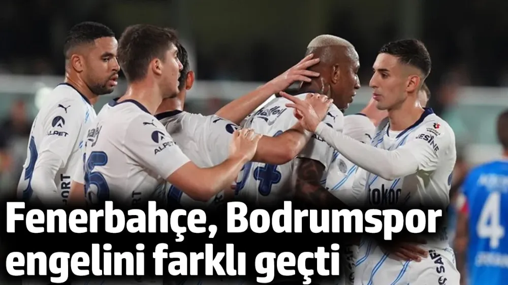 Bodrumspor - Fenerbahçe 2-4