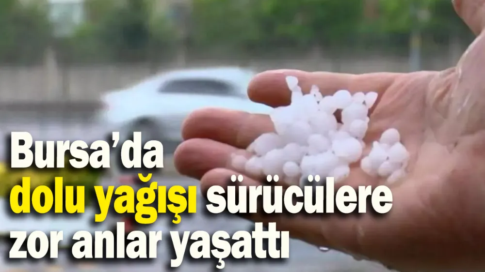 Bursa