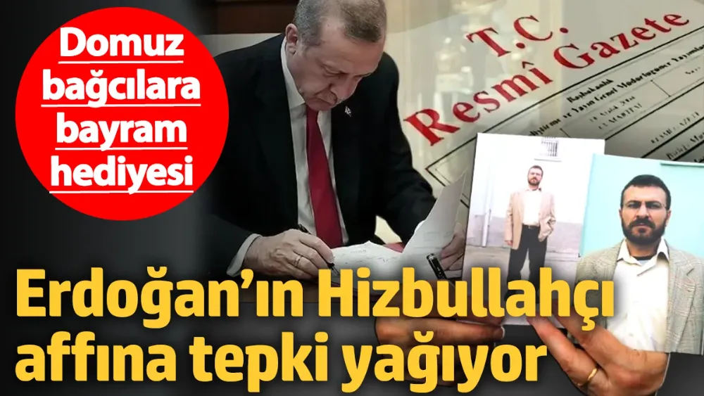 Domuz bağcılara bayram hediyesi! 