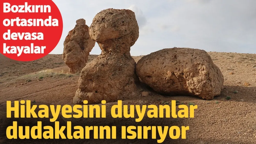 Hikayesini duyanlar dudaklarını ısırarak dinliyor