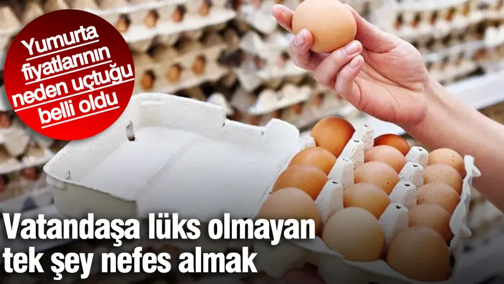 Vatandaşa lüks olmayan tek şey nefes almak