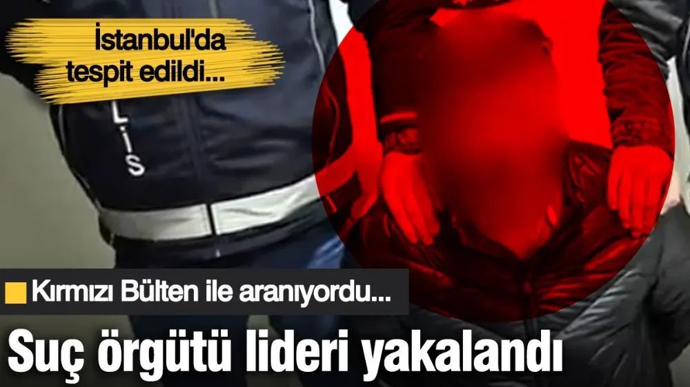 Kırmızı bültenle aranan suç örgütü lideri İstanbul