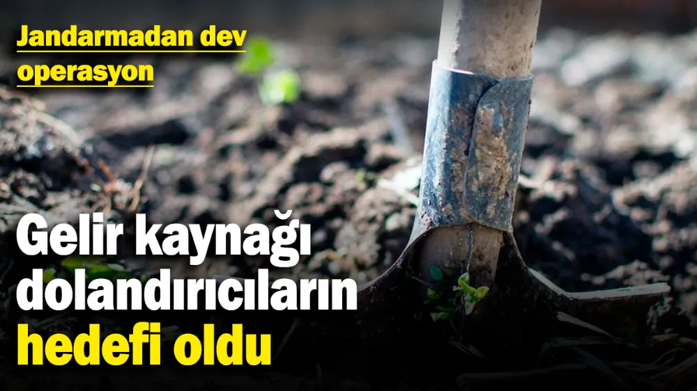 Gelir kaynağı dolandırıcıların hedefi oldu!