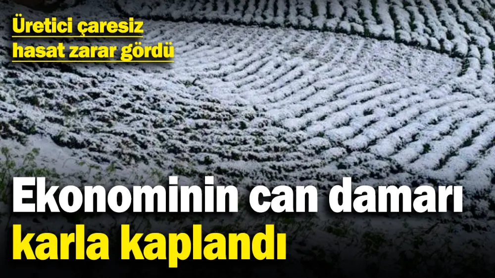 Ekonominin can damarı karla kaplandı! 