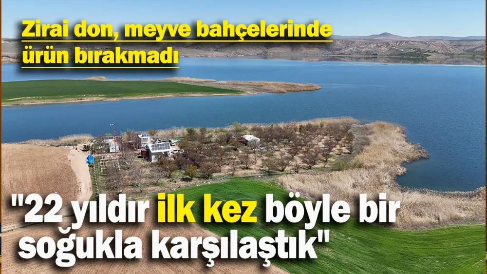 Zirai don, meyve bahçelerinde ürün bırakmadı