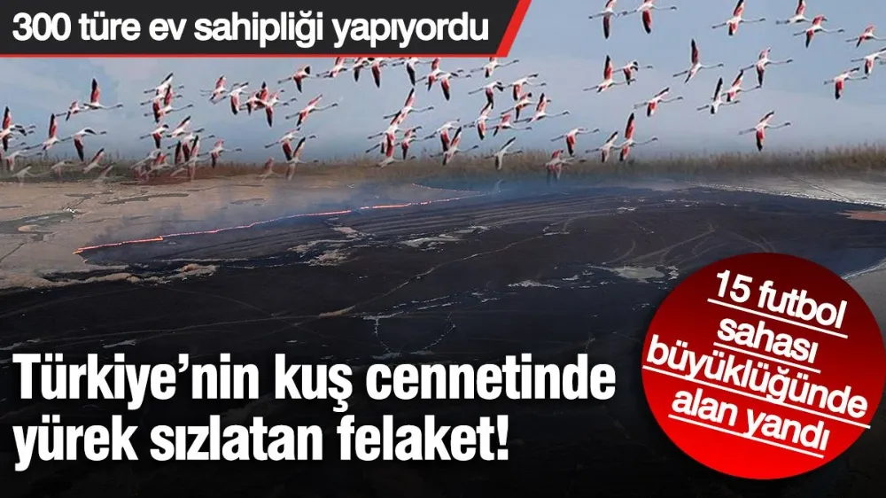 Sultan Sazlığı Milli Parkı
