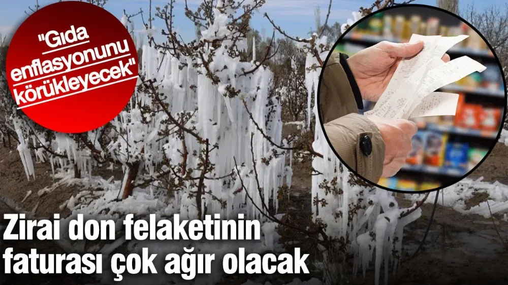 Zirai don felaketinin faturası çok ağır olacak